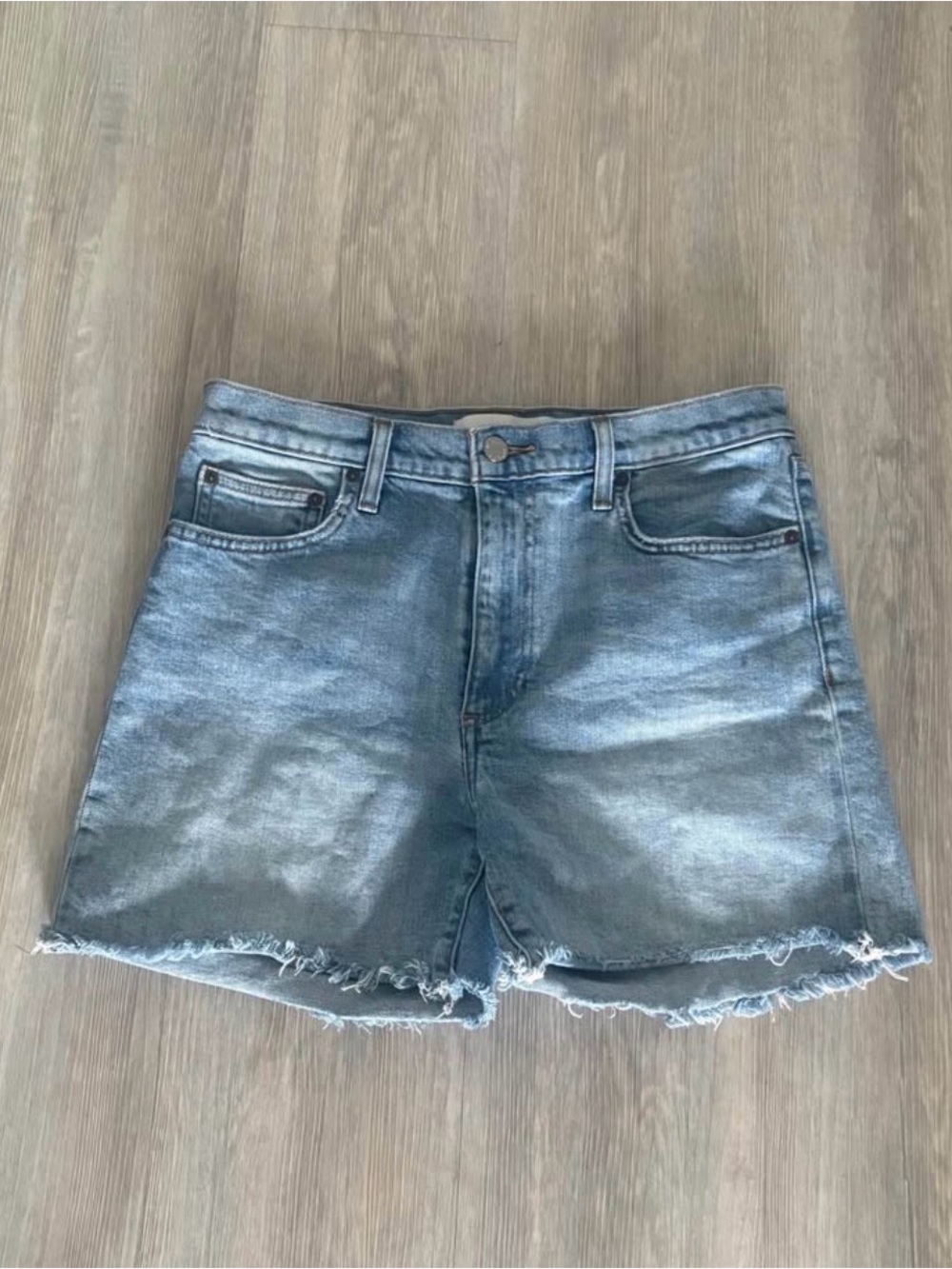 Denim Forum Aritzia Shorts (S29)